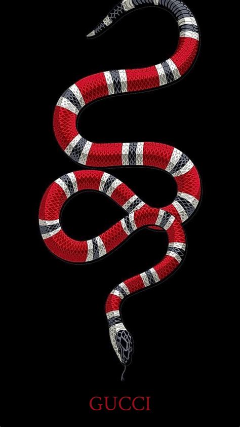 gucci print wallpaper snake|Gucci snake background.